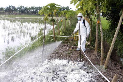 Xuất hiện ổ dịch cúm gia cầm mới tại Hà Tĩnh 